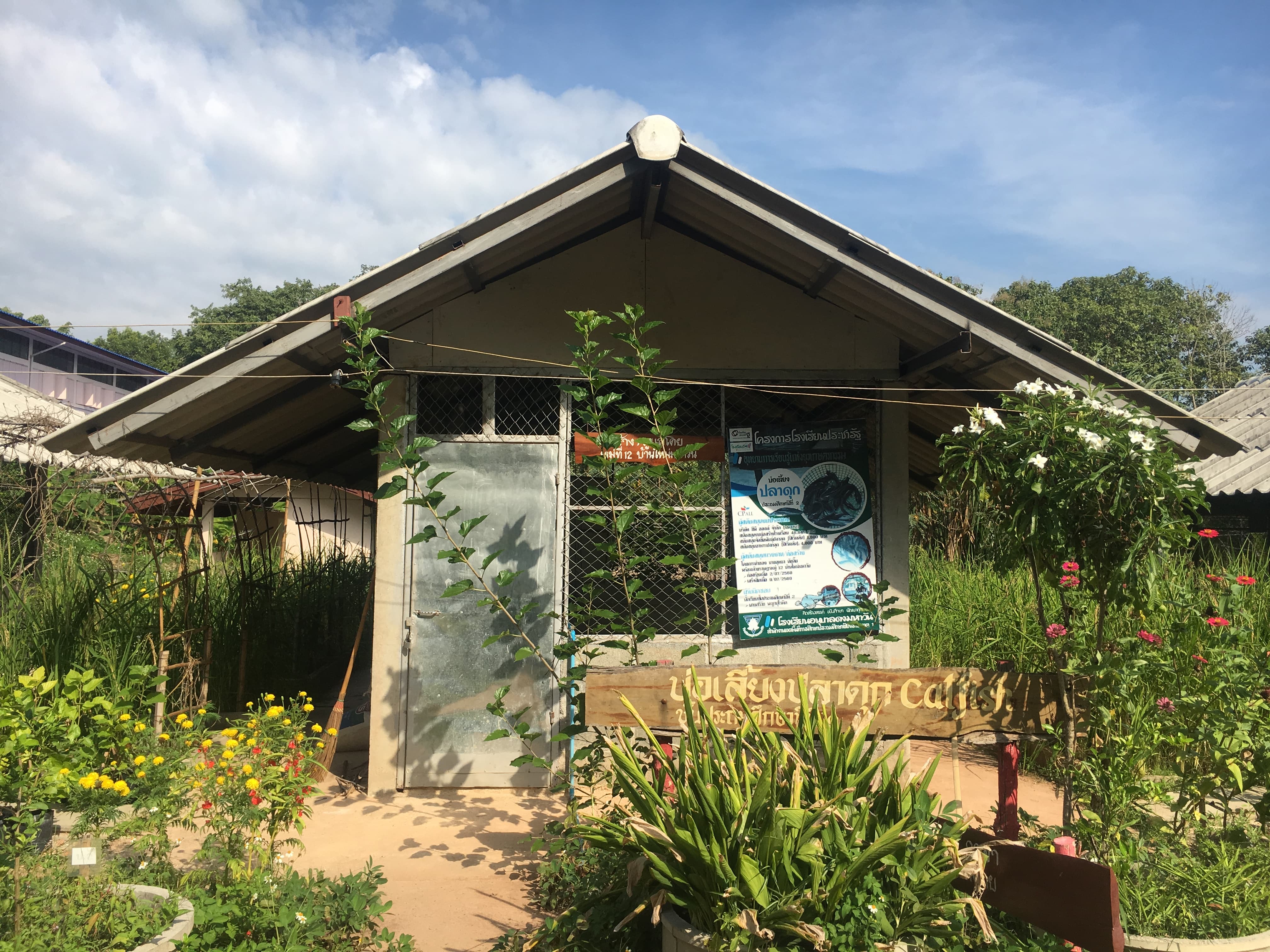 อาคารอเนกประสงค์/โรงอาหาร/โรงฝึกงาน/หอประชุม อื่น อื่น(สร้างเอง) ปีที่สร้าง 2561