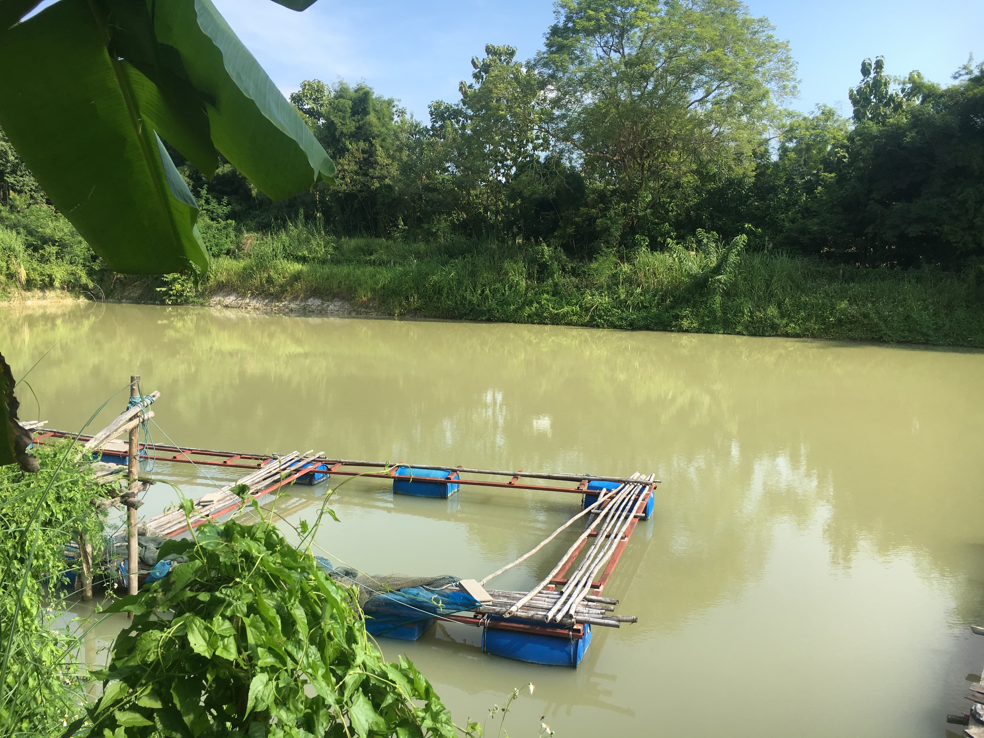 บ่อเลี้ยงปลา บ่อเลี้ยงปลา ปีที่สร้าง 2561